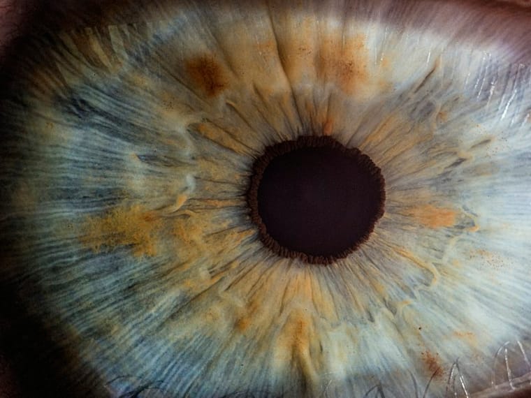 Close-up of a human eye